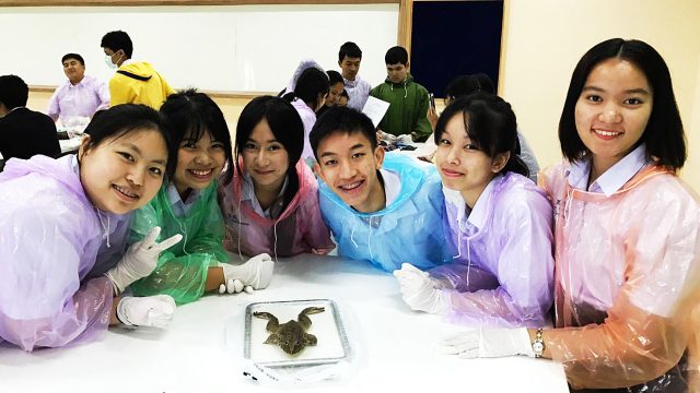 M5-19 Biology Class Frog Dissection M5-19 Biology Class Frog Dissection