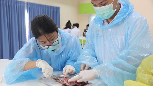 English Program Teaching and Learning Style English Program Teaching and Learning Style