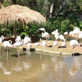 EP-KKW One-Day Trip to Korat Zoo
